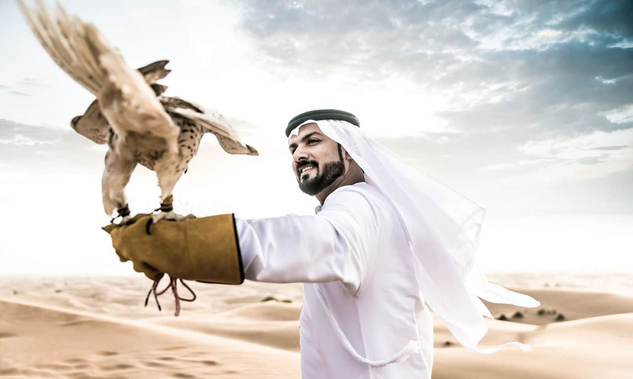 00032 abu dhabi wüste falke