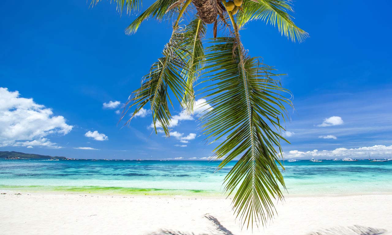 00287 afrika mauritius traumstrand palmen paradies sandstrand türkises wasser