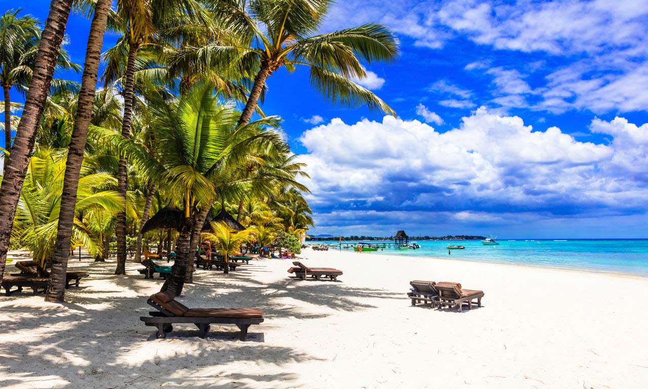00293 afrika mauritius traumstrand palmen paradies sandstrand