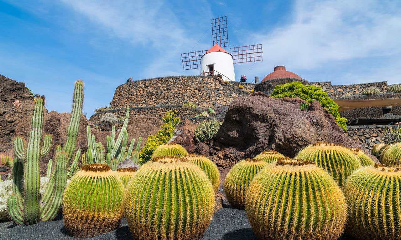 00522 europa spanien kanaren lanzarote pauschalreise all inclusive traumurlaub kaktus garten lava insel guatiza