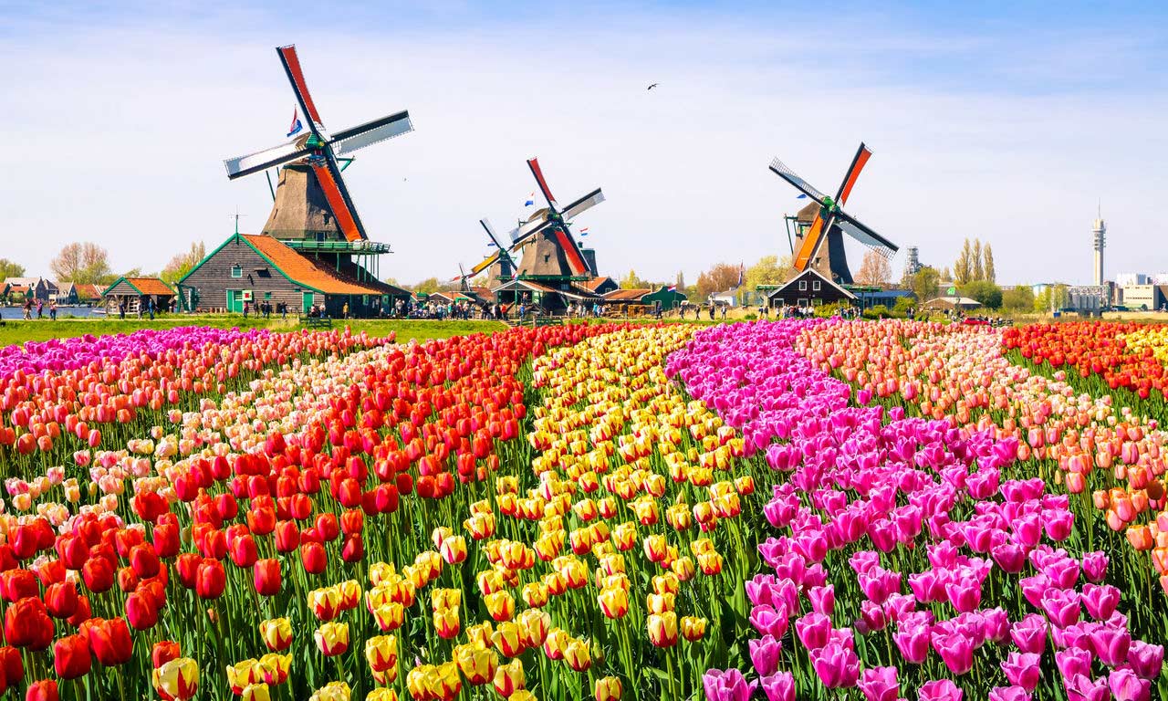 00665 hotels in venlo tulpen hotel wochenendtrip kurzurlaub sightseeing