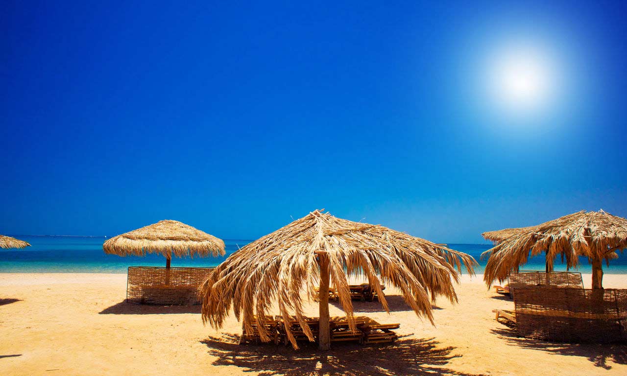 00935 Ägypten rotes meer urlaub sommer strandurlaub erholung palmen sandstrand
