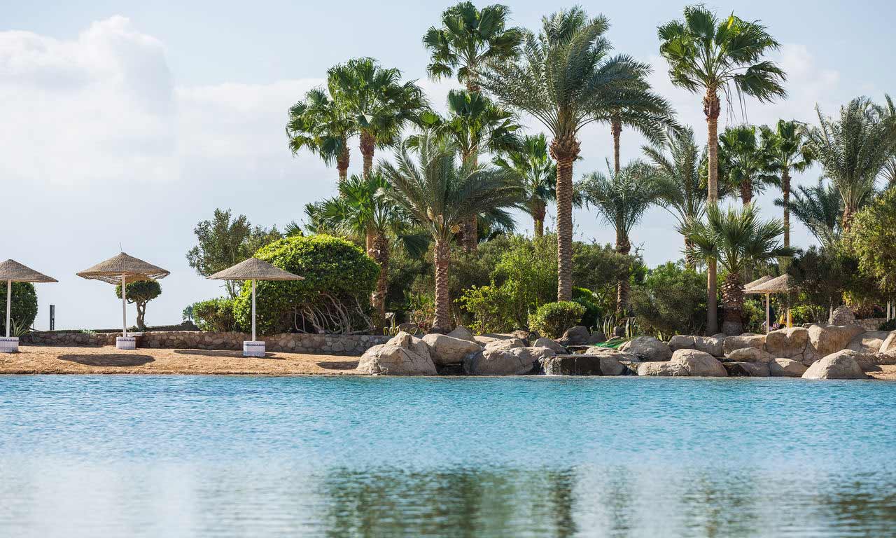 00942 Ägypten rotes meer urlaub sommer strandurlaub erholung palmen sandstrand