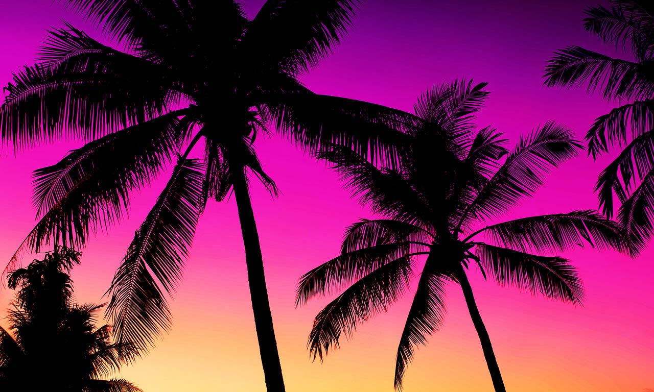 01003 kuba urlaub fernreise karibik traumstrand insel strand sommer sonnenuntergang romantisch palmen paradies