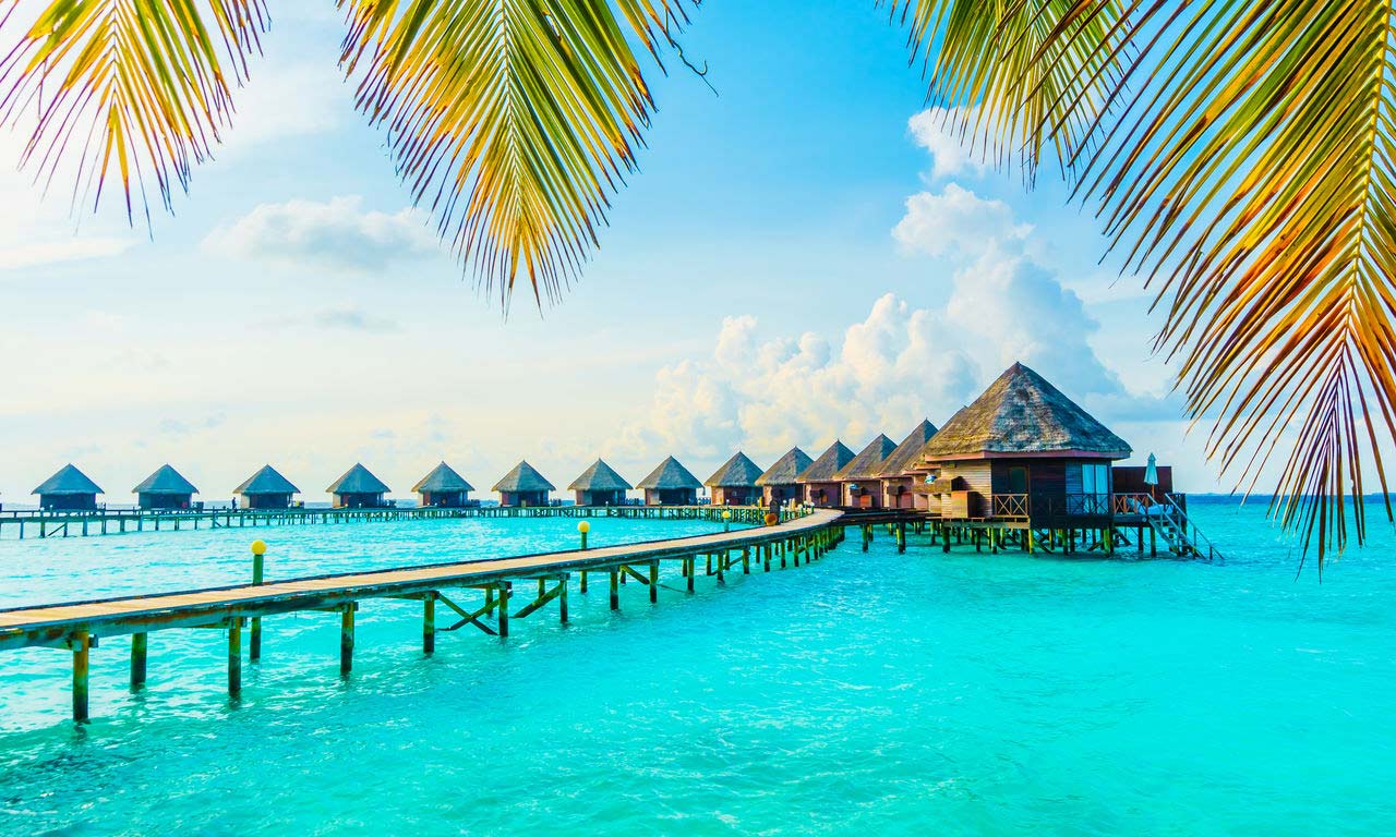 01018 malediven urlaub fernreise traumstrand insel strand sommer paradies