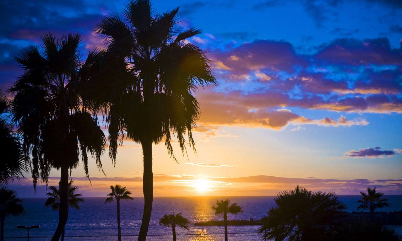01244 gran canaria spanien urlaub atlantik kanaren insel sommer strandurlaub erholung palmen sonnenuntergang