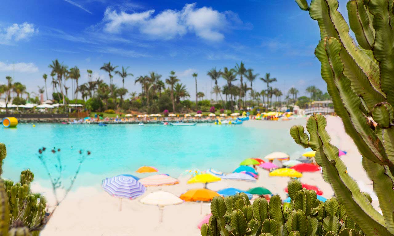01245 gran canaria spanien urlaub atlantik kanaren insel sommer strandurlaub anfi del mar erholung palmen