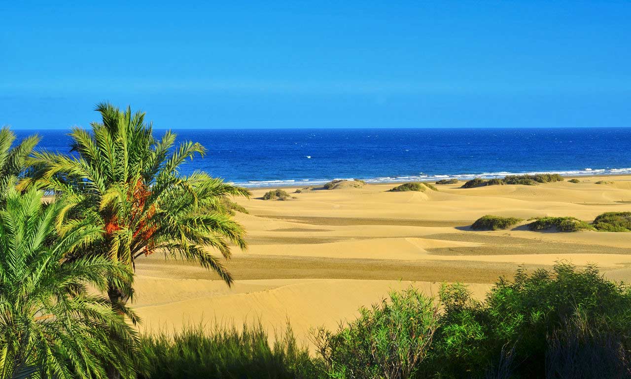 01248 gran canaria spanien urlaub atlantik kanaren insel sommer maspalomas strandurlaub erholung palmen
