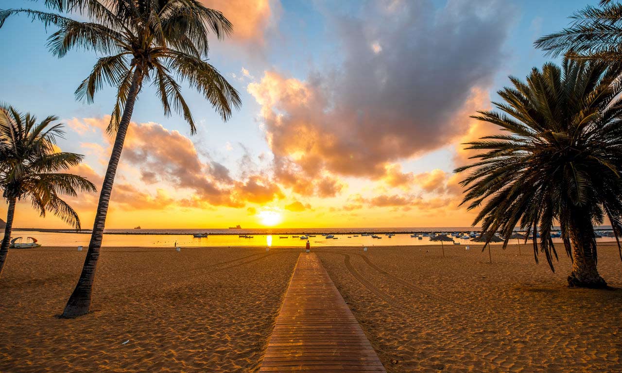 01306 teneriffa spanien urlaub atlantik kanaren insel sommer strandurlaub erholung palmen