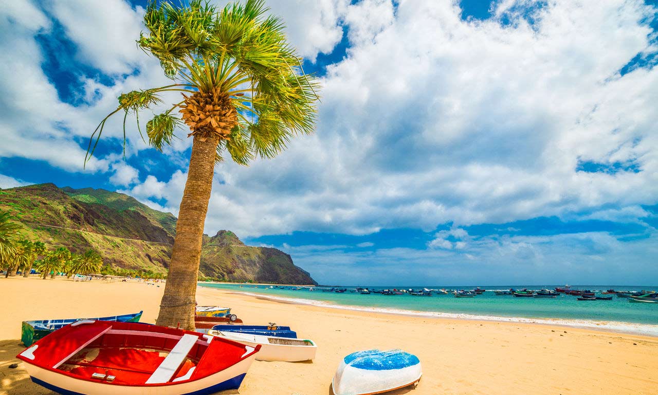 01313 teneriffa urlaub spanien atlantik kanaren insel sommer strandurlaub erholung palmen