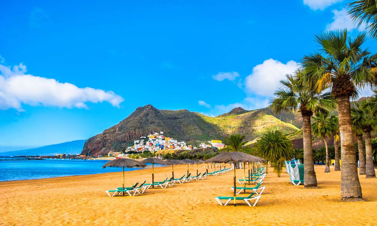 01314 teneriffa spanien urlaub atlantik kanaren insel sommer strandurlaub erholung palmen
