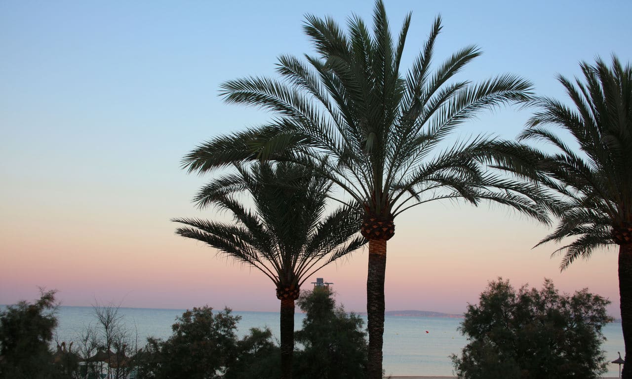 Iberostar_Mallorca_Bahia de Palma_BHP_IB_VIEWS_D1707_001_low