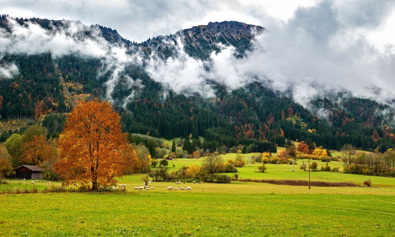 02517_hotels_in_pfronten urlaub_in_pfronten kurzreise kurztrip deutschland bayern