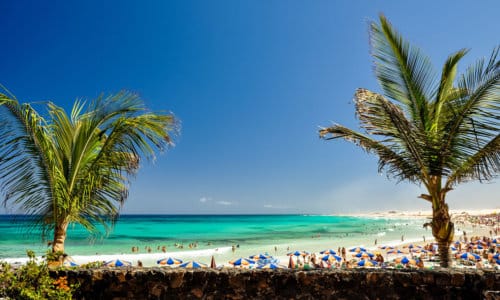 Urlaub im 4 Sterne Hotel Playa Park Zensation Fuerteventura