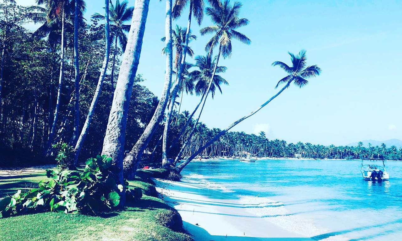 hotel grand paradise samana strand