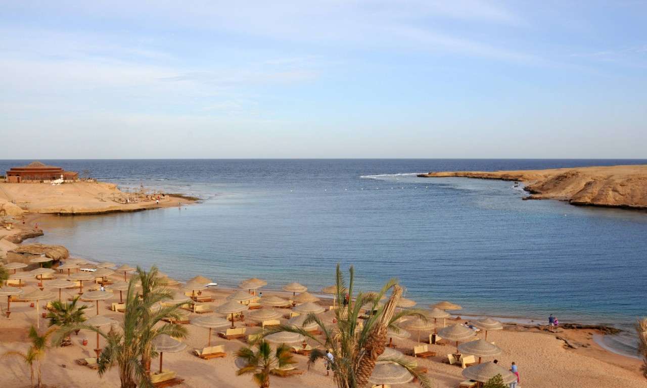 The Oasis Dive Resort
