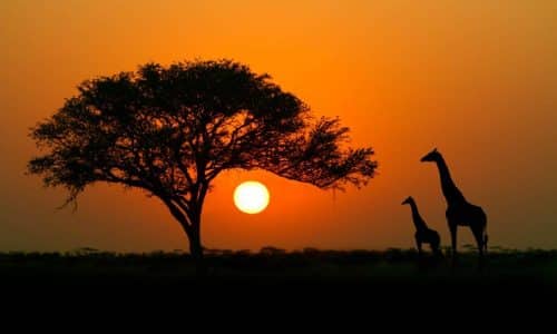 Last Minute Namibia