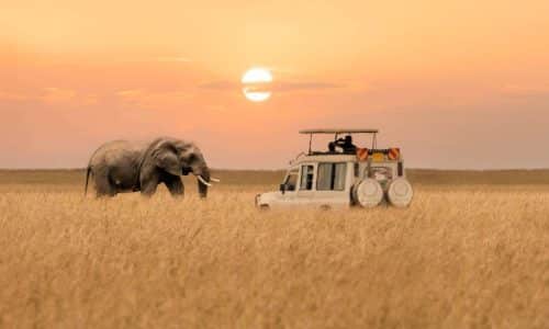 Last Minute Afrika
